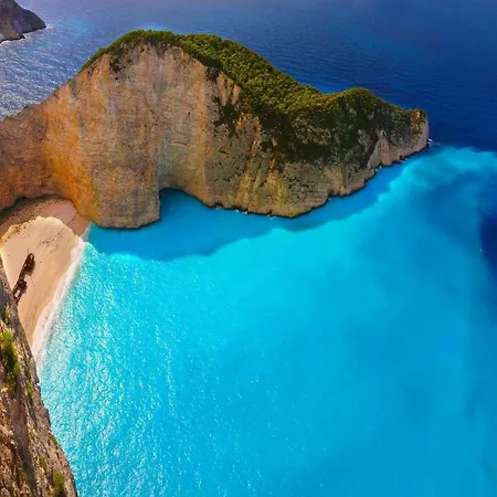 48 By Zante Plaza